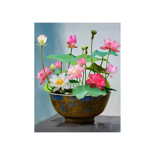 Lotus Flower Canvas (Style 1)